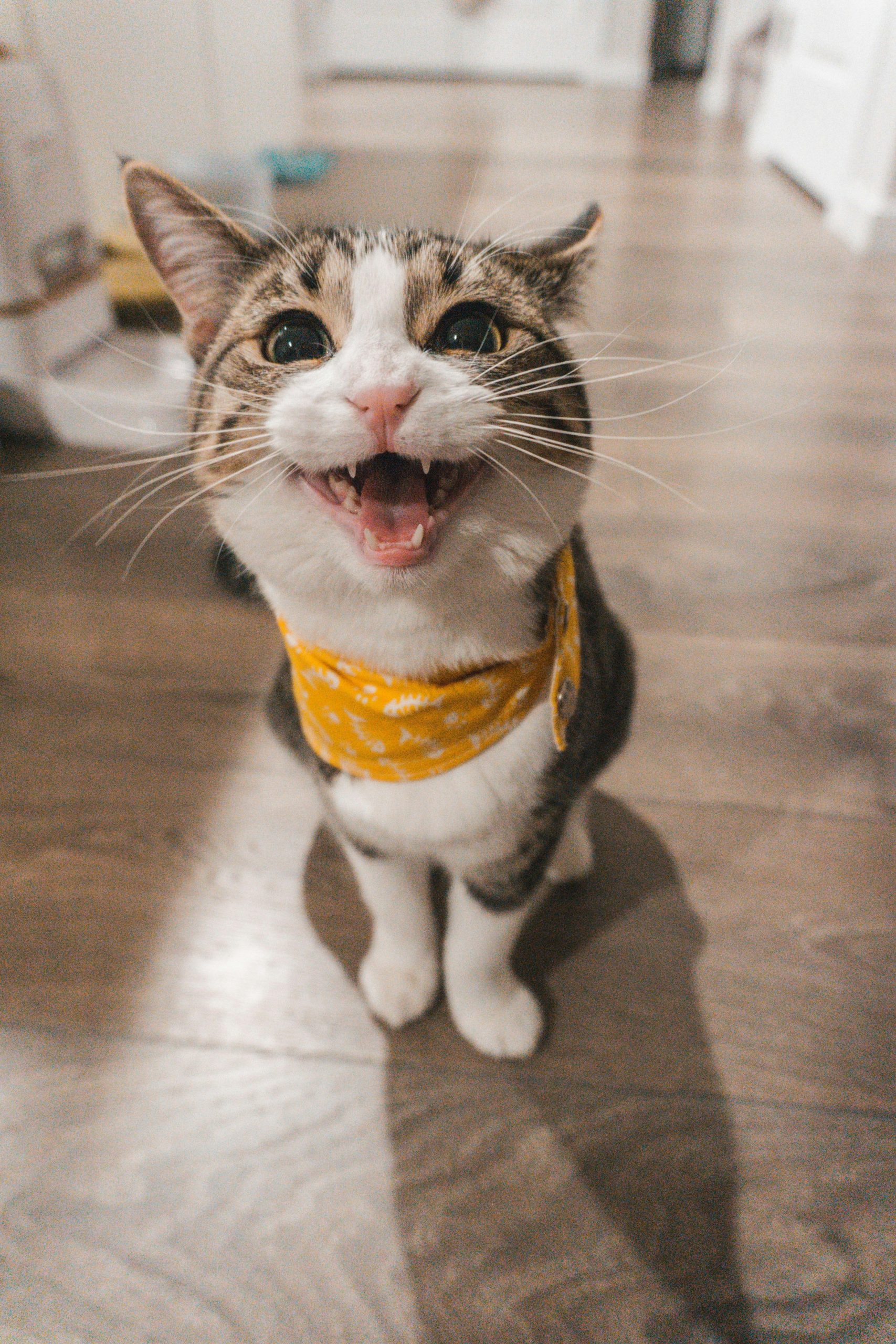 Hello world!